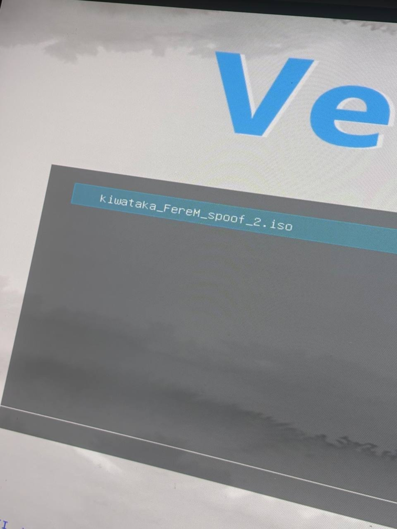 screenshot TM SPOOFER